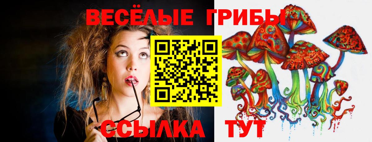 Псилоцибиновые грибы MAGIC MUSHROOMS  Вход с VPN  Шадринск  продажа наркотиков  Псилоцибиновые грибы GOLDEN TEACHER 